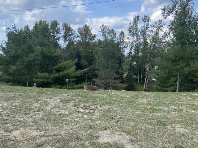 Land for sale in Atlanta, Briley Township