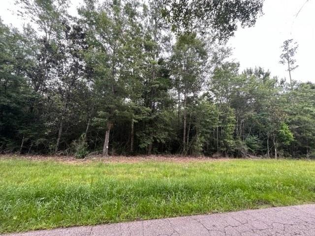 Land for sale in Lacombe, Louisiana