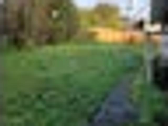 House for rent in Kawau Island