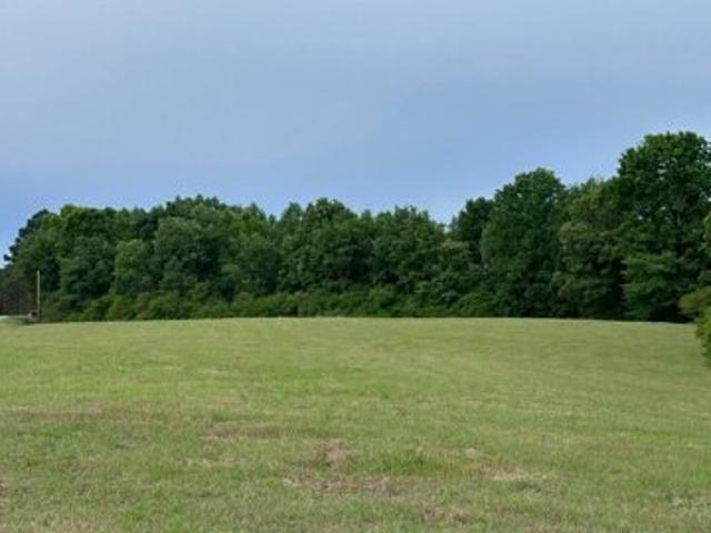 Land for sale in Arley, Alabama