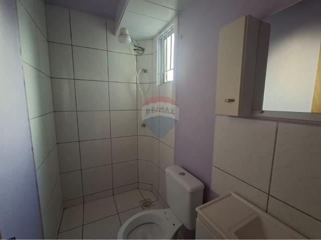 Apartamento aluguel em Região Geográfica Imediata de Passo Fundo, Passo Fundo