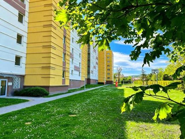 Wohnung mieten in Brunn am Gebirge, Niederösterreich