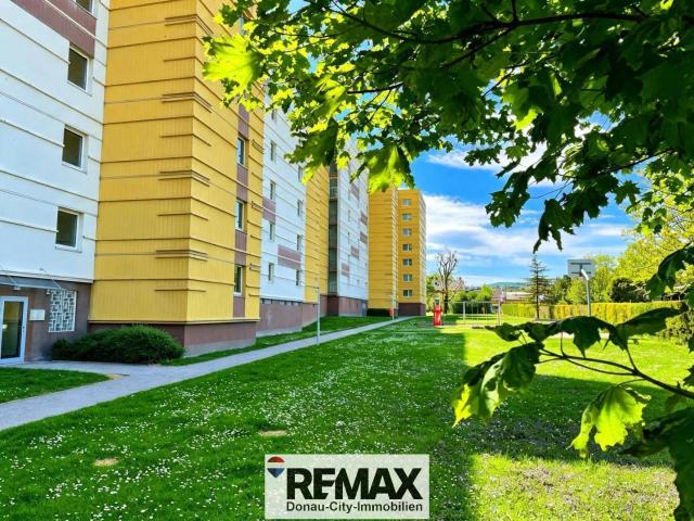 Apartment mieten in Brunn am Gebirge, Niederösterreich