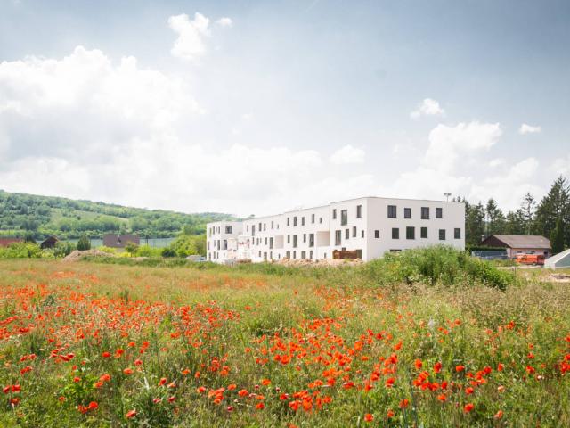 Apartment mieten in Großweikersdorf, Niederösterreich
