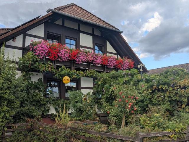Haus kaufen in Schaafheim, Hessen