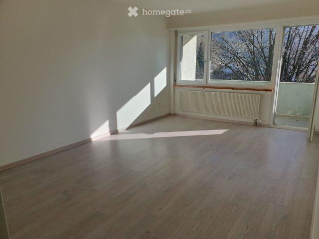 Apartment mieten in Balsthal, Amtei Thal-Gäu