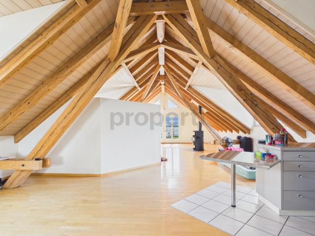 Apartment mieten in Hausen am Albis, Zürich