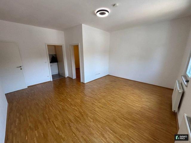 Apartment mieten in St. Veit an der Glan, Kärnten