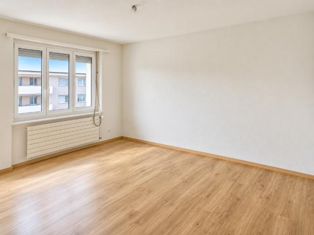 Wohnung mieten in Dulliken, Amtei Olten-Gösgen