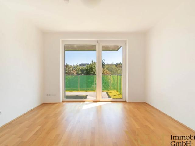 Apartment mieten in Altstadtviertel, Linz