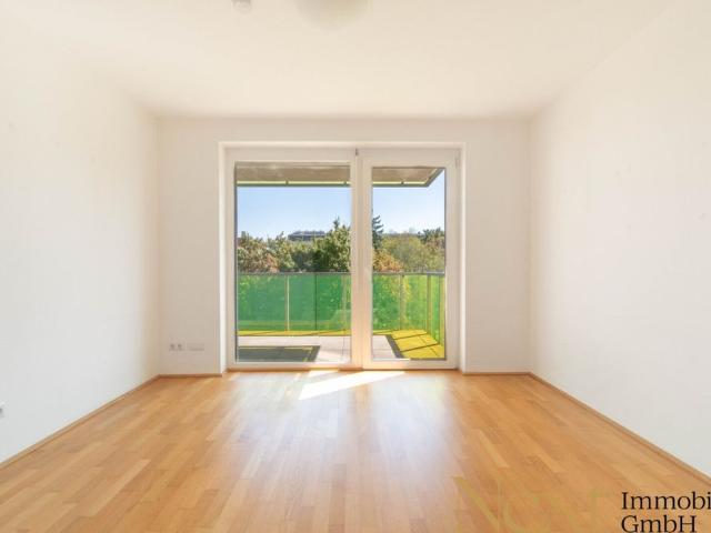 Apartment mieten in Altstadtviertel, Linz