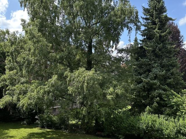 Wohnung kaufen in Ohlsdorf, Hamburg