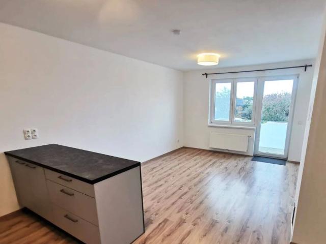 Apartment mieten in Ziegelofen, Bad Erlach