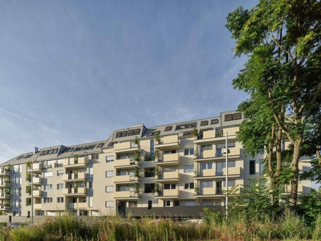Apartment mieten in KG Breitensee, Wien