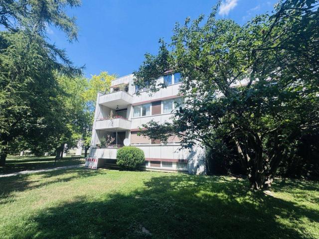 Apartment kaufen in Wolkersdorf im Weinviertel, Niederösterreich