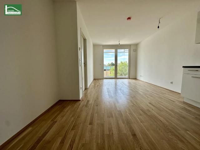 Apartment mieten in Donaustadt, Wien