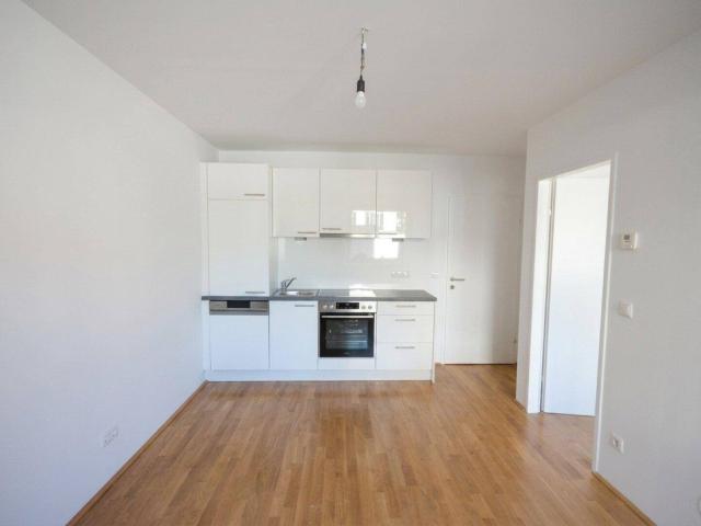Apartment mieten in KG Neubau, Wien