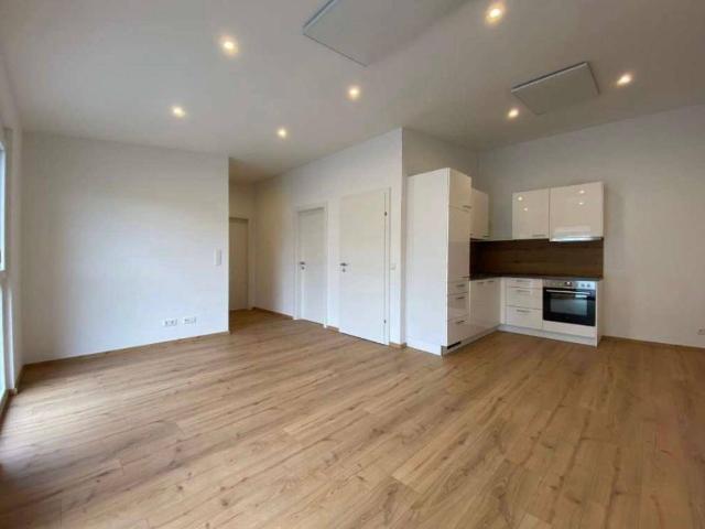 Apartment mieten in St. Georgen am Leithagebirge, Eisenstadt