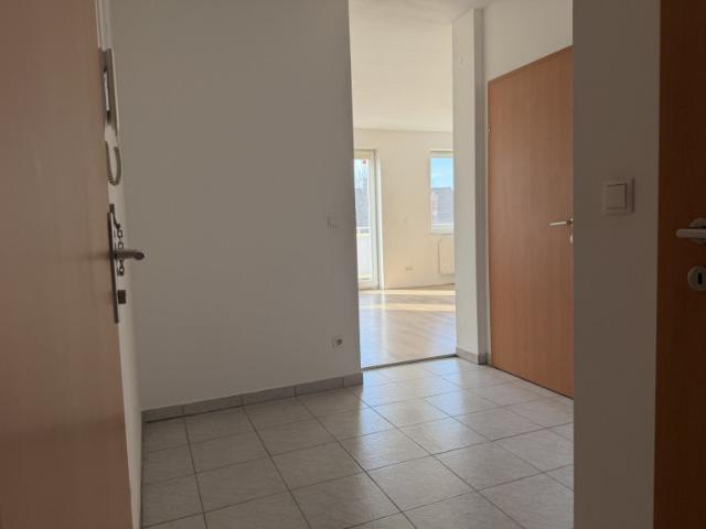 Wohnung kaufen in Eggendorf, Niederösterreich