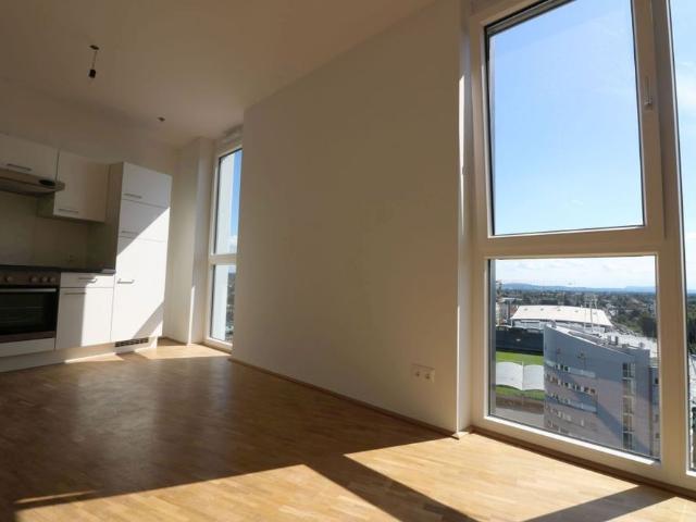 Apartment mieten in Liebenau, Gersdorf-Feistritz