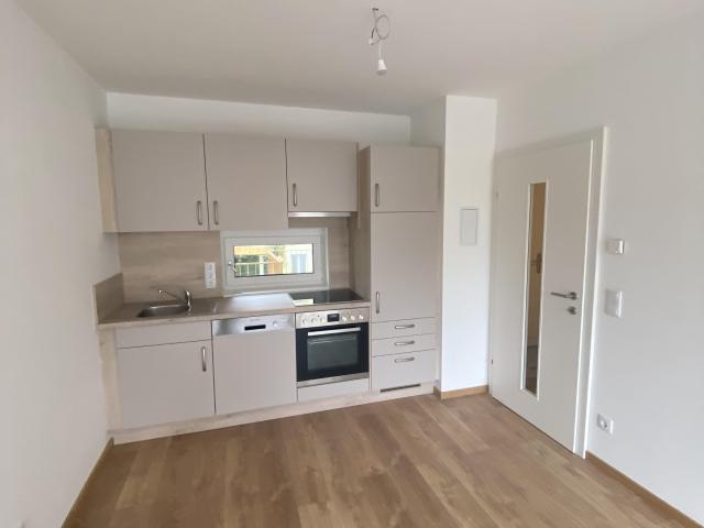 Apartment mieten in Katastralgemeinde Lend, Graz