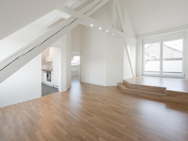 Dachwohnung mieten in Messe, Basel