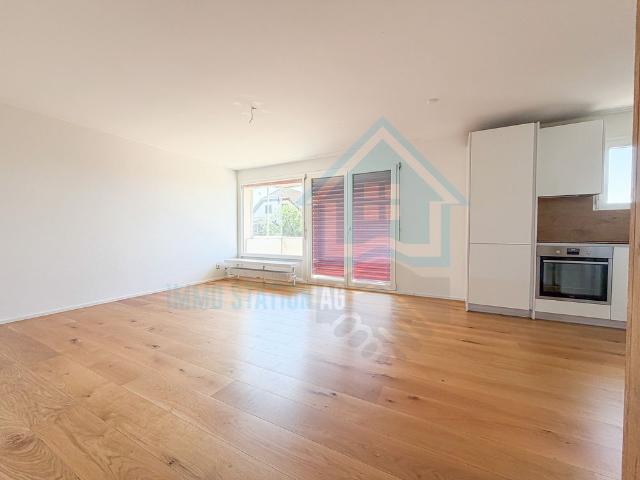 Apartment mieten in Sarmenstorf, Bezirk Bremgarten