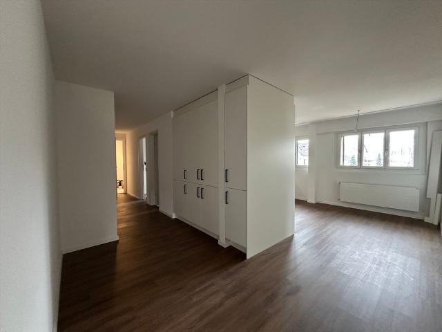Apartment mieten in Küssnacht (SZ), Küssnacht