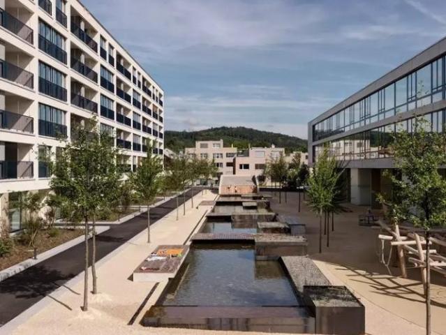 Apartment mieten in Pfäffikon (SZ), Zürich