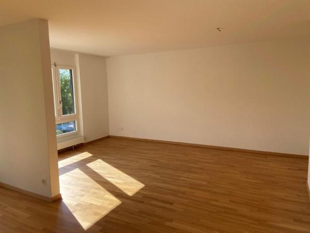 Apartment mieten in Olten, Amtei Olten-Gösgen