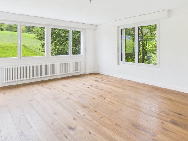 Apartment mieten in Speicher, Mittelland