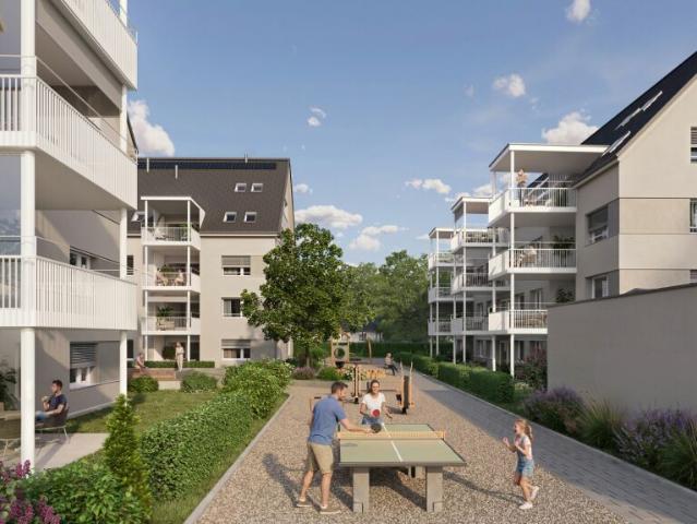 Dachwohnung kaufen in Zell (ZH), Zürich