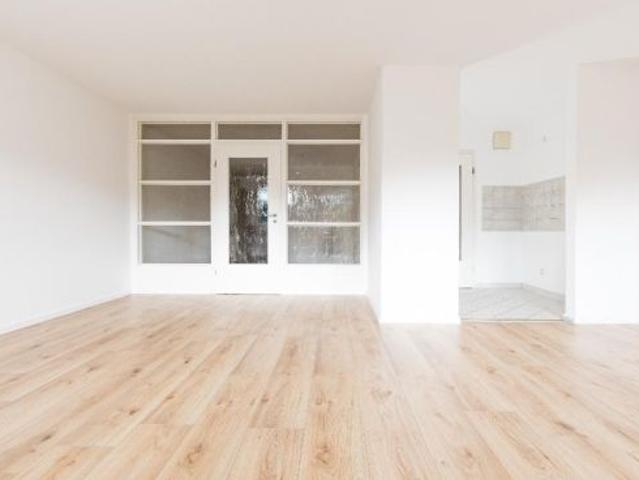 Wohnung mieten in Morgenleite, Chemnitz