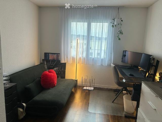 Apartment mieten in Niederuster, Uster