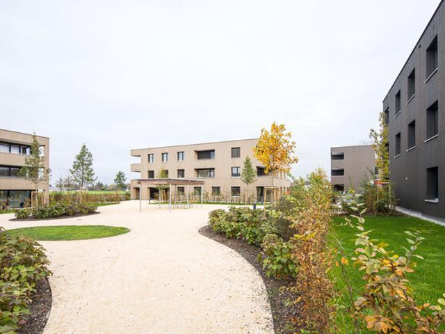 Apartment kaufen in Höchst, Vorarlberg