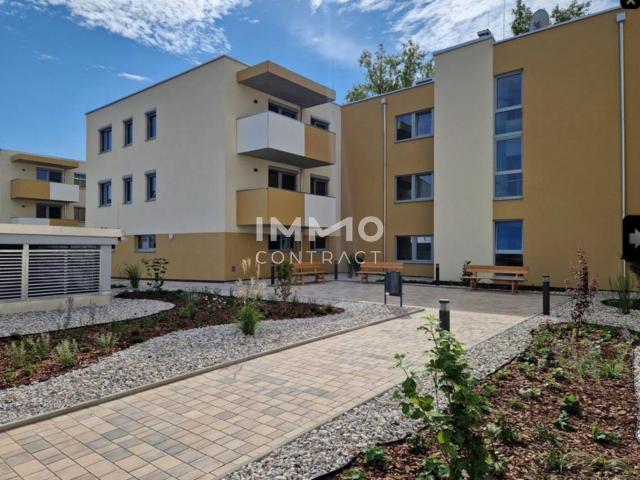 Wohnung mieten in Eisenstadt, Burgenland