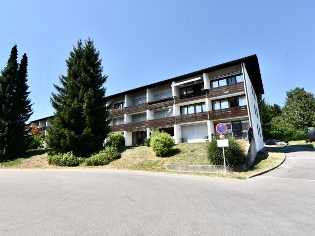 Wohnung kaufen in Oberstaufen, Bayern