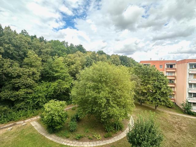 Wohnung mieten in Weimar, Thüringen