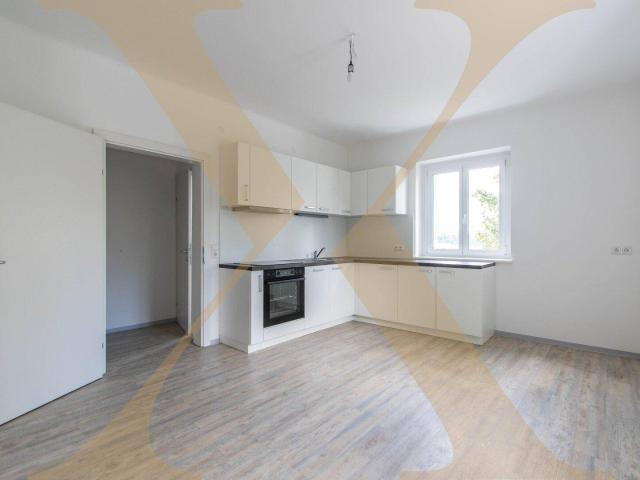 Apartment kaufen in Fischhub, Steyr