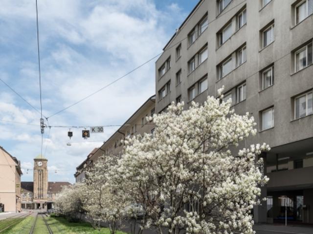 Wohnung mieten in Basel, Basel-Stadt