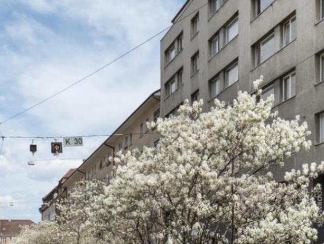 Apartment mieten in Basel, Basel-Stadt