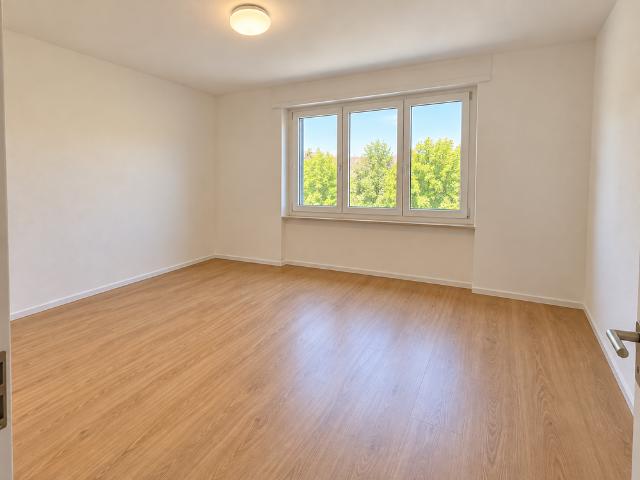 Apartment mieten in Glattbrugg, Opfikon