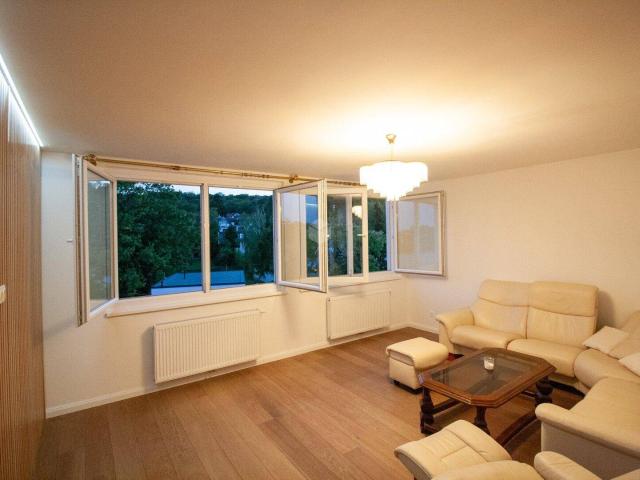 Apartment mieten in Maria Enzersdorf, Bezirk Mödling
