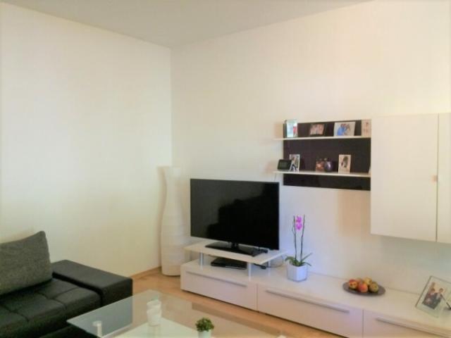 Wohnung mieten in Mödling, Bezirk Mödling