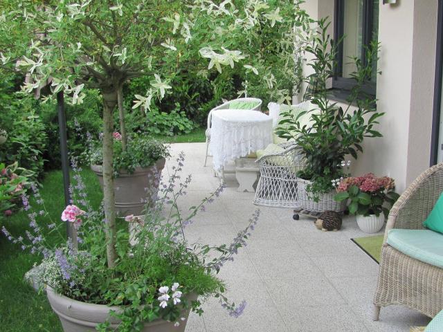 Apartment mieten in Absam, Tirol