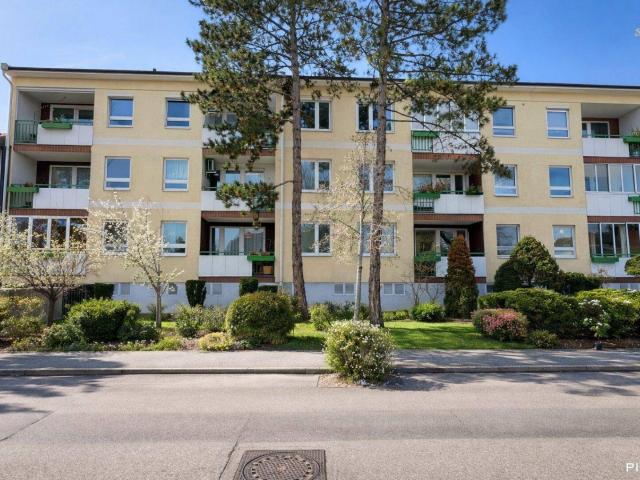 Apartment kaufen in Schöffelstadt, Mödling