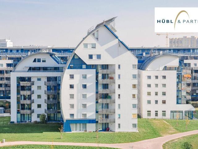 Apartment mieten in Donaustadt, Wien