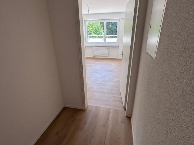 Apartment mieten in Rheinfelden, Bezirk Rheinfelden