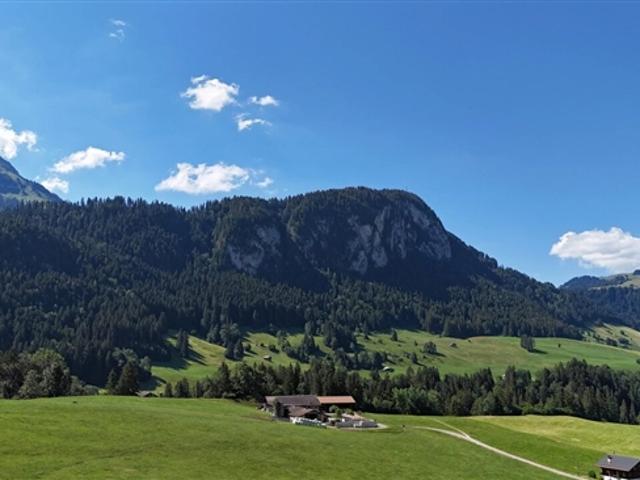 Wohnung kaufen in Château-d'Oex, Waadt
