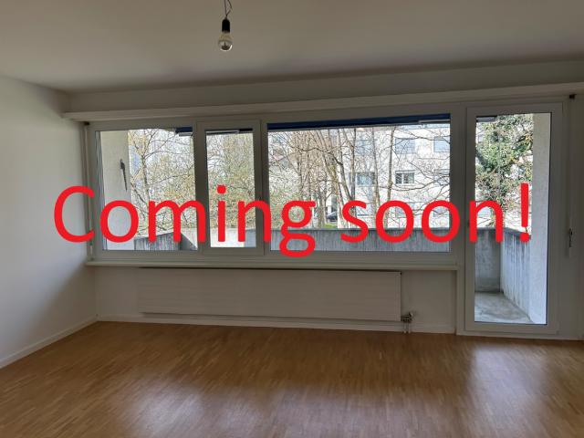 Apartment mieten in Aesch (BL), Basel-Landschaft